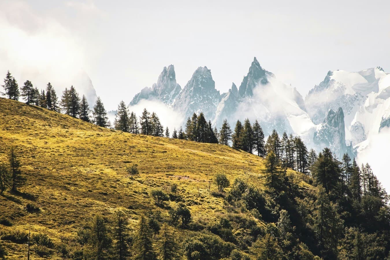 Paysage de montagne — Altitude Thérapie à Montpellier